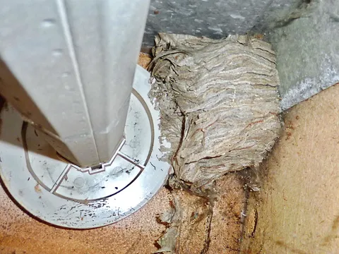 Der dunkle, geschützte Hohlraum zieht Insekten geradezu an – bis zur Montage des Dichtprofils.